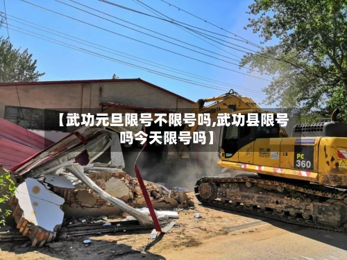 【武功元旦限号不限号吗,武功县限号吗今天限号吗】-第3张图片