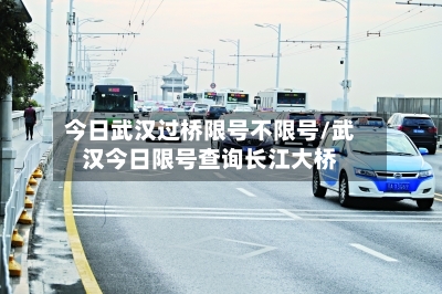 今日武汉过桥限号不限号/武汉今日限号查询长江大桥-第2张图片