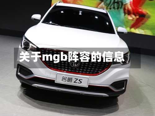 关于mgb阵容的信息-第3张图片