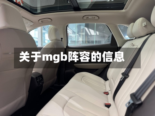 关于mgb阵容的信息-第2张图片