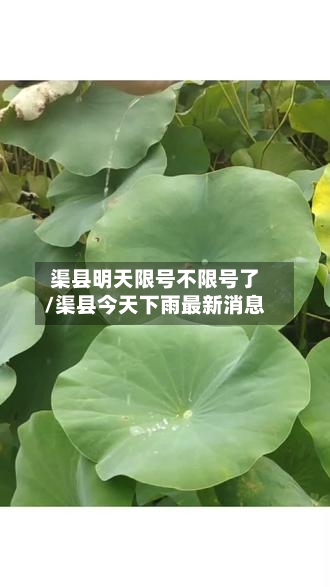 渠县明天限号不限号了/渠县今天下雨最新消息