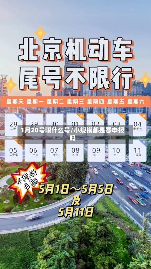 1月20号限什么号/小规模都是零申报吗