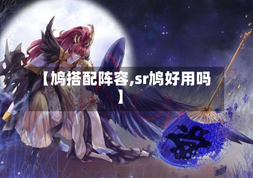 【鸠搭配阵容,sr鸠好用吗】-第2张图片