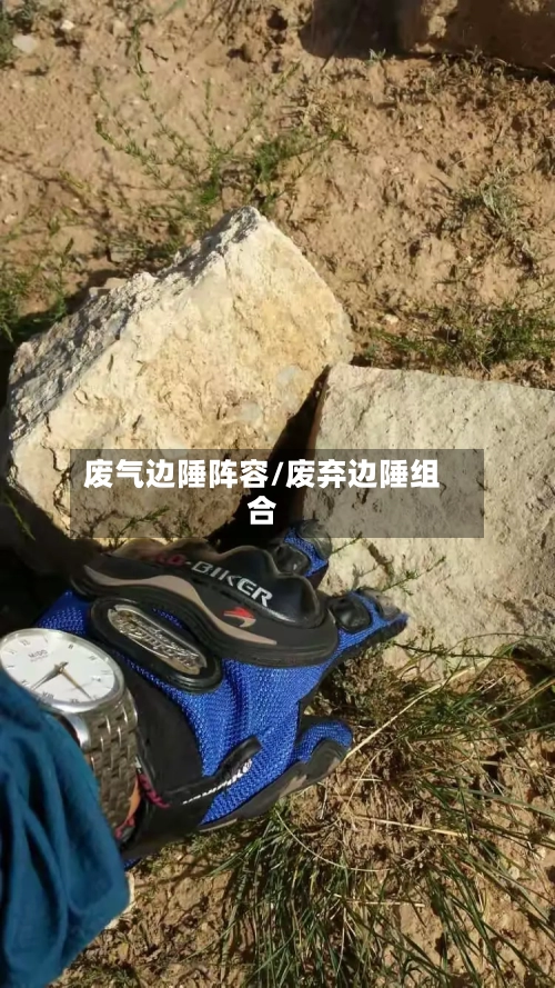 废气边陲阵容/废弃边陲组合-第2张图片