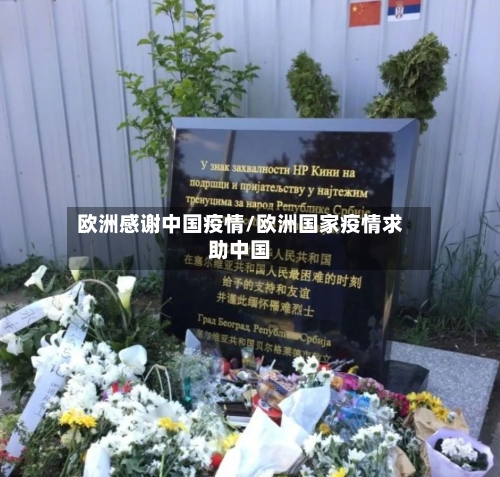 欧洲感谢中国疫情/欧洲国家疫情求助中国