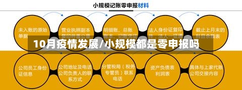 10月疫情发展/小规模都是零申报吗-第2张图片