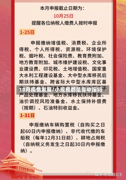 10月疫情发展/小规模都是零申报吗