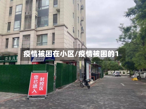 疫情被困在小区/疫情被困的1