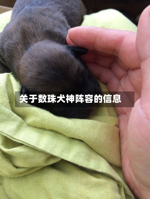 关于数珠犬神阵容的信息-第3张图片