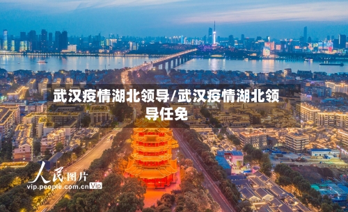 武汉疫情湖北领导/武汉疫情湖北领导任免-第3张图片