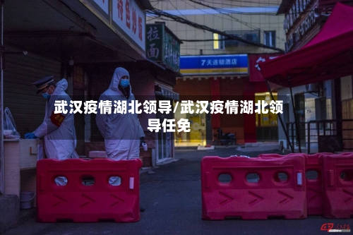 武汉疫情湖北领导/武汉疫情湖北领导任免-第2张图片