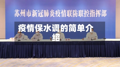疫情保水调的简单介绍