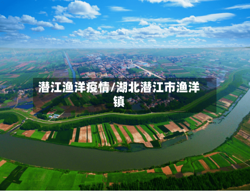 潜江渔洋疫情/湖北潜江市渔洋镇-第3张图片