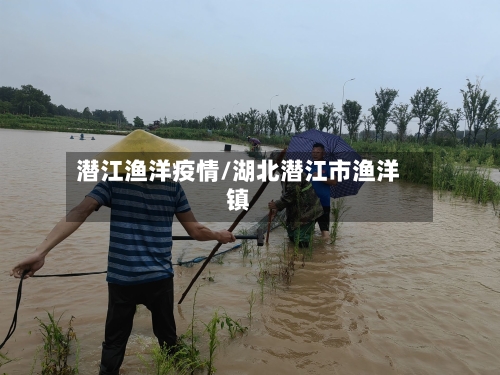 潜江渔洋疫情/湖北潜江市渔洋镇