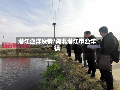 潜江渔洋疫情/湖北潜江市渔洋镇-第2张图片