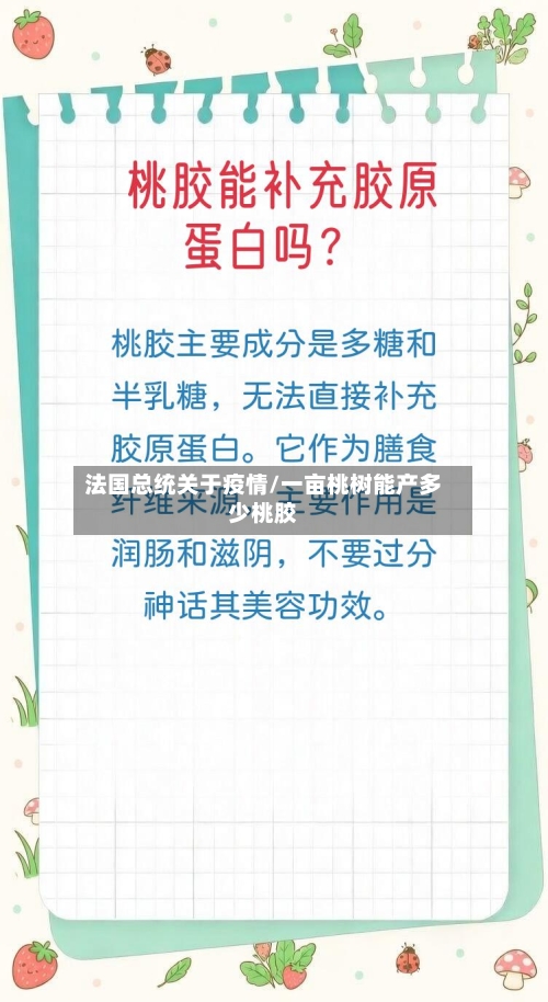 法国总统关于疫情/一亩桃树能产多少桃胶