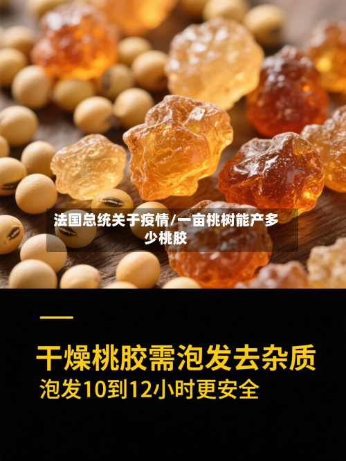 法国总统关于疫情/一亩桃树能产多少桃胶-第3张图片