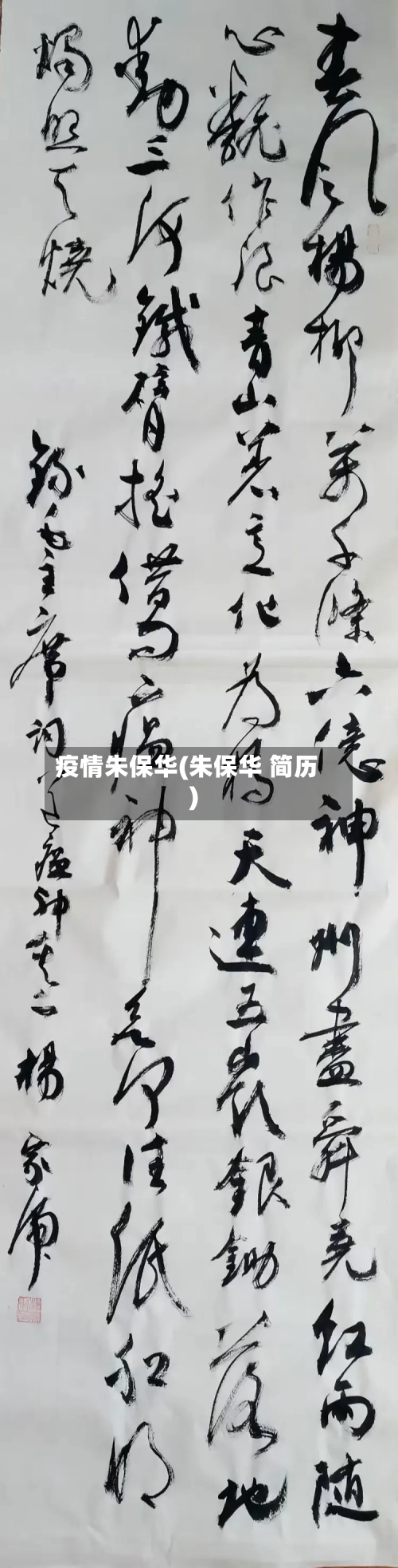 疫情朱保华(朱保华 简历)-第2张图片