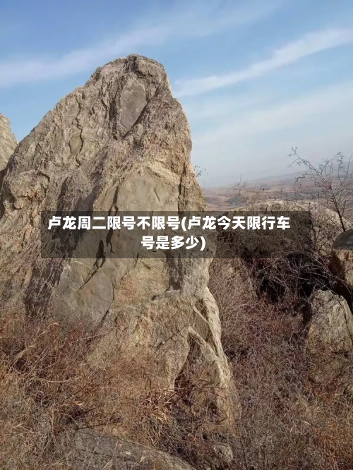 卢龙周二限号不限号(卢龙今天限行车号是多少)-第2张图片