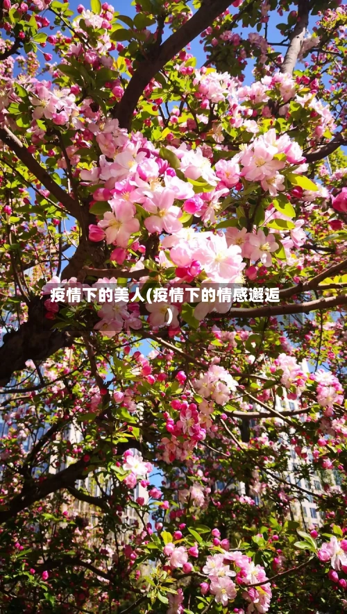 疫情下的美人(疫情下的情感邂逅)-第2张图片
