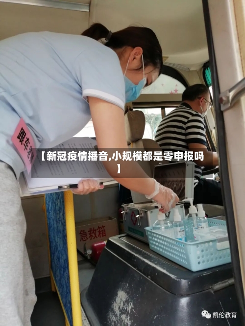【新冠疫情播音,小规模都是零申报吗】-第3张图片