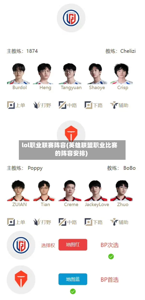 lol职业联赛阵容(英雄联盟职业比赛的阵容安排)-第2张图片