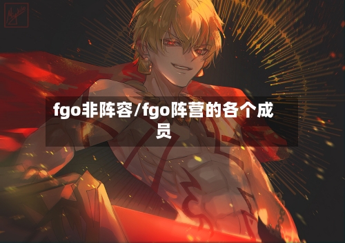 fgo非阵容/fgo阵营的各个成员