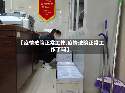 【疫情法院正常工作,疫情法院正常工作了吗】-第3张图片