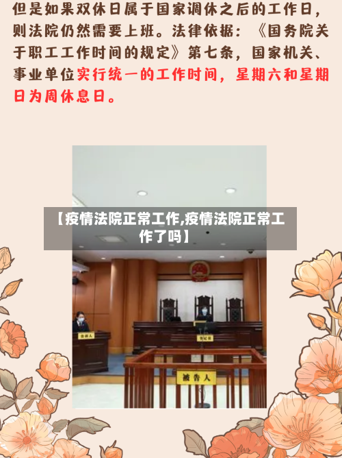 【疫情法院正常工作,疫情法院正常工作了吗】-第2张图片