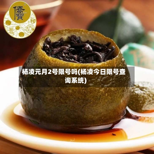 杨凌元月2号限号吗(杨凌今日限号查询系统)