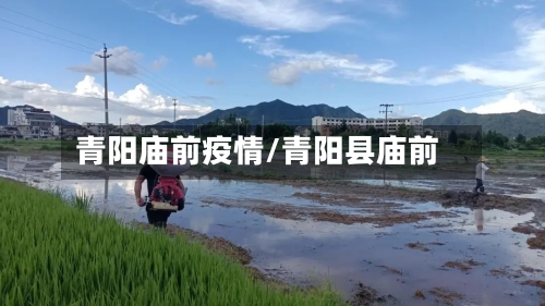 青阳庙前疫情/青阳县庙前
