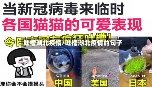 吐槽湖北疫情/吐槽湖北疫情的句子