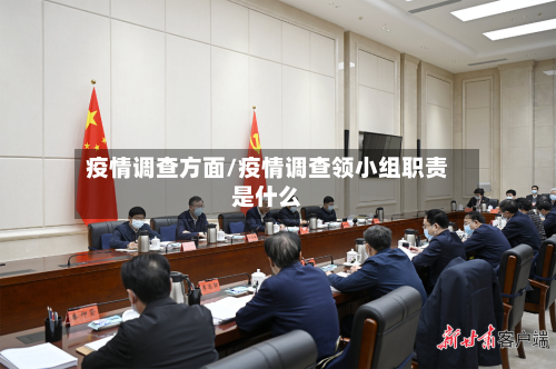 疫情调查方面/疫情调查领小组职责是什么