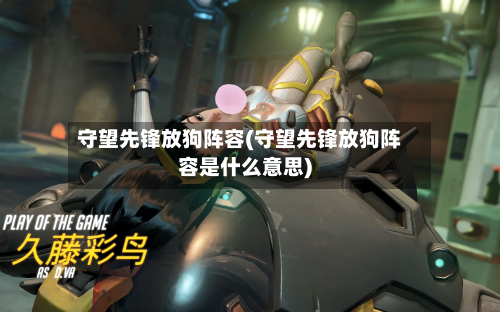 守望先锋放狗阵容(守望先锋放狗阵容是什么意思)-第3张图片