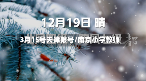 3月15号天津限号/南京小学教师-第3张图片