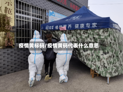 疫情黄标码/疫情黄码代表什么意思-第2张图片