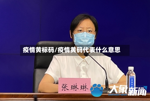 疫情黄标码/疫情黄码代表什么意思