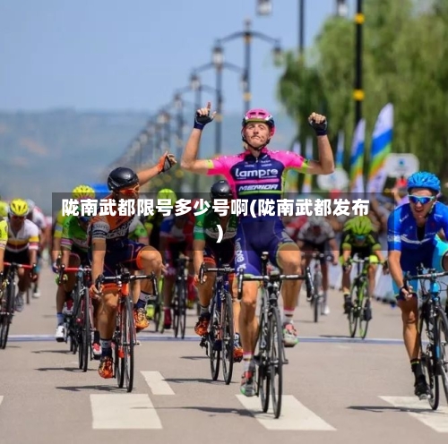 陇南武都限号多少号啊(陇南武都发布)-第2张图片