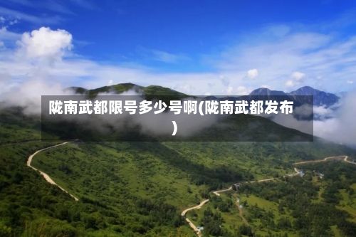 陇南武都限号多少号啊(陇南武都发布)