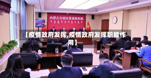 【疫情政府发挥,疫情政府发挥职能作用】