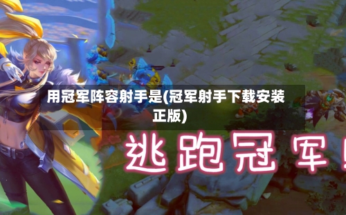 用冠军阵容射手是(冠军射手下载安装正版)-第2张图片