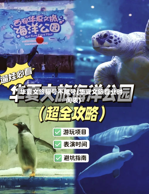 华夏文旅限号不限号(华夏文旅营业时间表)