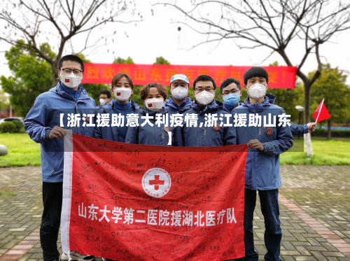 【浙江援助意大利疫情,浙江援助山东】