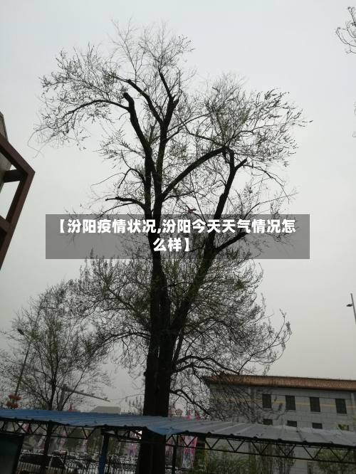 【汾阳疫情状况,汾阳今天天气情况怎么样】-第3张图片