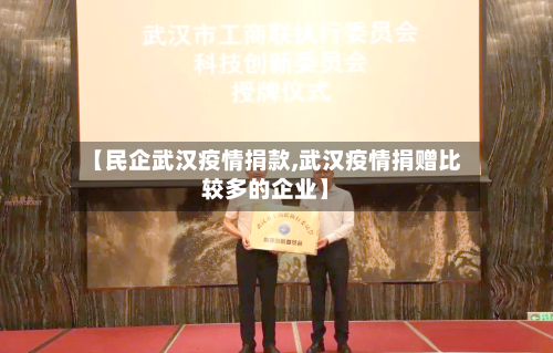 【民企武汉疫情捐款,武汉疫情捐赠比较多的企业】
