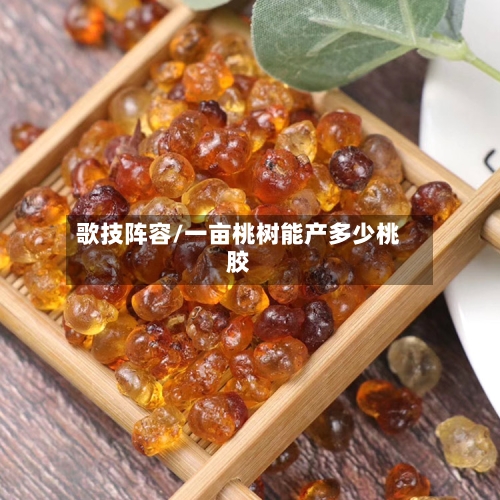 歌技阵容/一亩桃树能产多少桃胶