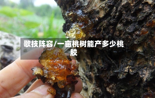 歌技阵容/一亩桃树能产多少桃胶-第2张图片