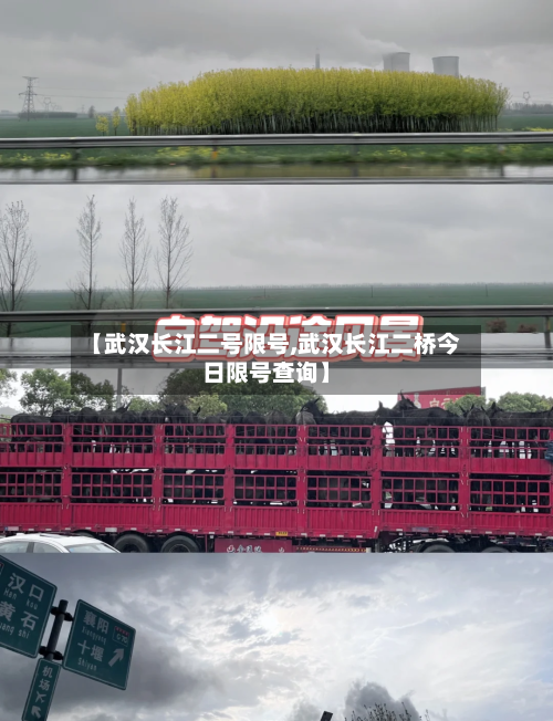 【武汉长江二号限号,武汉长江二桥今日限号查询】-第3张图片