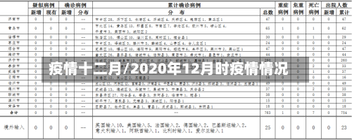 疫情十二月/2020年12月时疫情情况