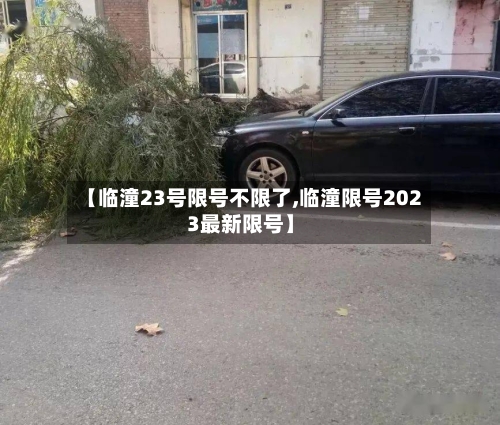 【临潼23号限号不限了,临潼限号2023最新限号】